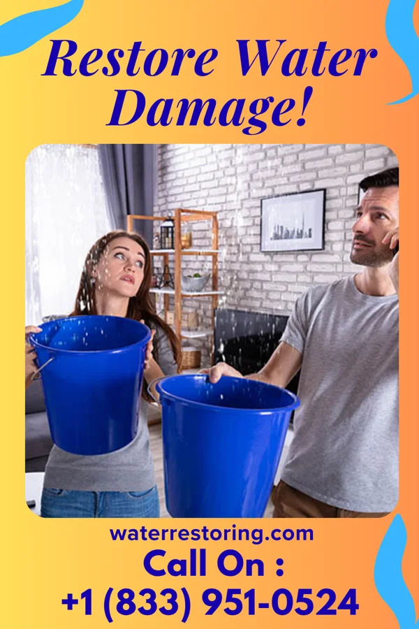 water restoration Trusted Water Works Authority South Heights