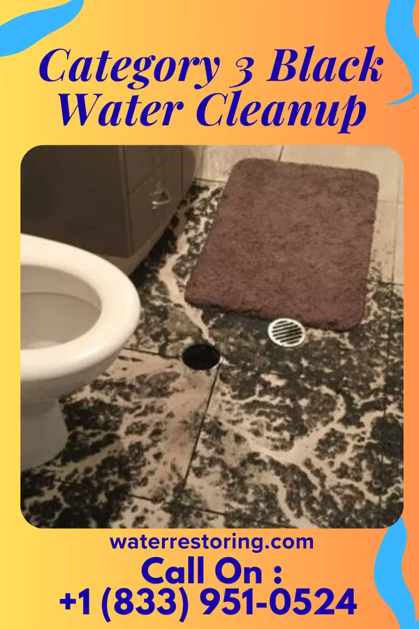 Category 3 Black Water Cleanup in South Heights, PA