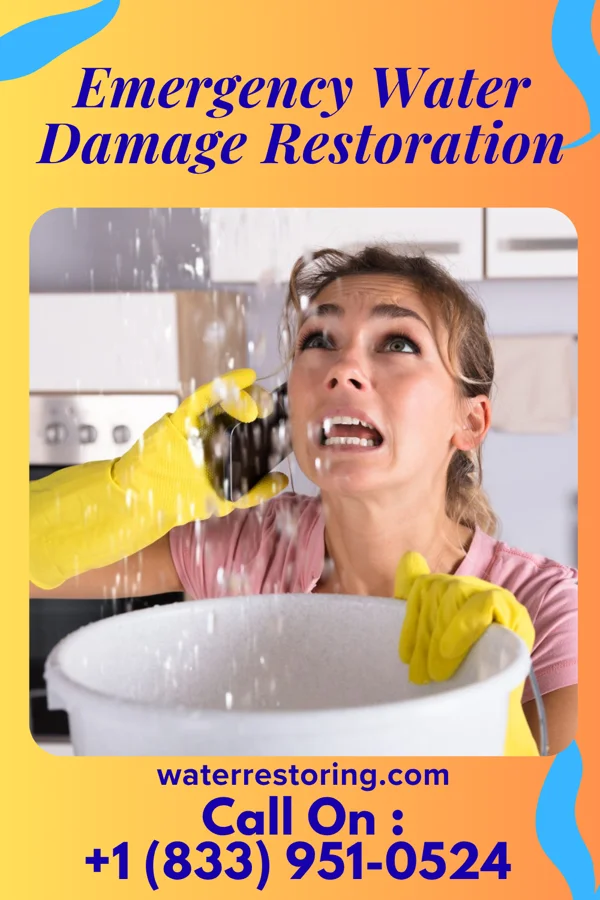 Emergency Water Damage Restoration in South Heights, PA