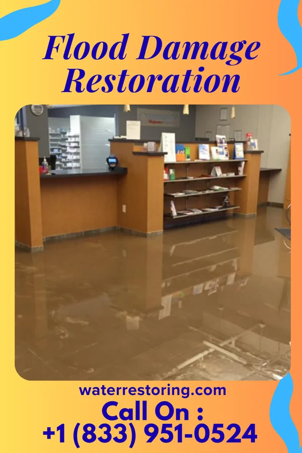 Flood Damage Restoration in South Heights, PA