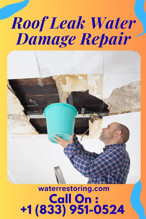 Roof Leak Water Damage Repair in South Heights, PA