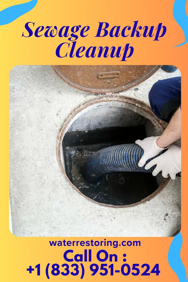 Sewage Backup Cleanup in South Heights, PA