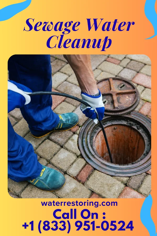Sewage Water Cleanup in South Heights, PA